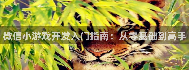 沐鸣2登录注册