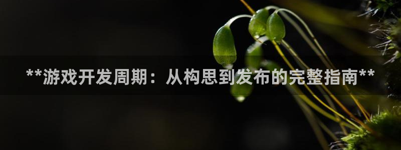 沐鸣2注册开户