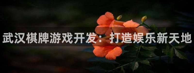 沐鸣娱乐2登录平台是什么