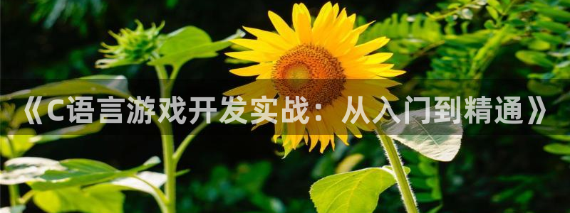沐鸣娱乐2上来77542
