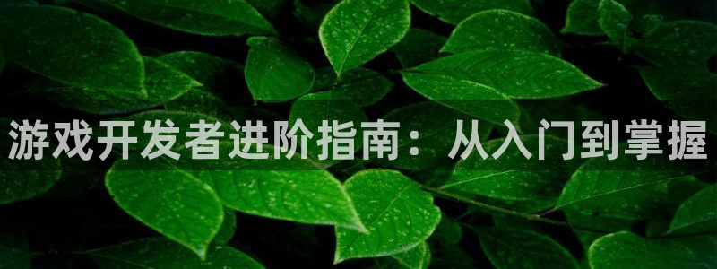 沐鸣2平台代理注册