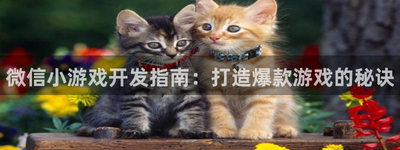 沐鸣2多少年