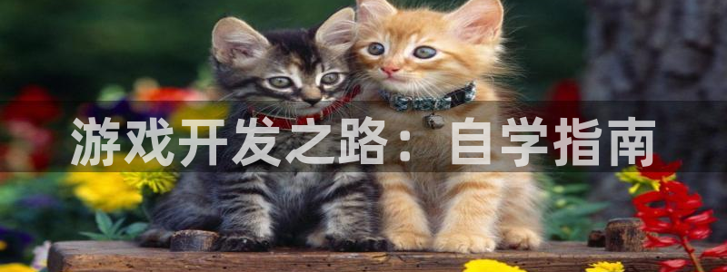 沐鸣娱乐2游戏说明