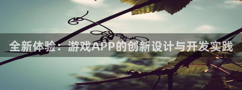 沐鸣娱乐2手机版：全新体验：游戏APP的创新设计与开发实践
