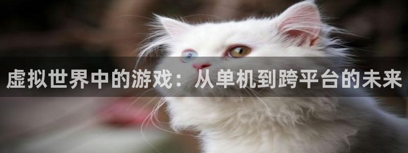 沐鸣2平台招商：虚拟世界中的游戏：从单机到跨平台的未来