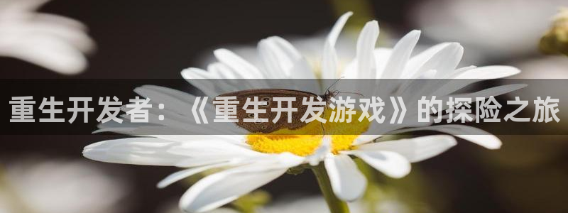 沐鸣娱乐2注册地址：重生开发者：《重生开发游戏》的探险之旅