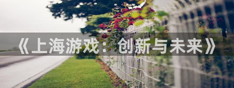 沐鸣代理22927：《上海游戏：创新与未来》