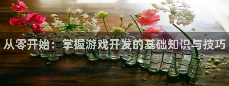 沐鸣2平台是杏彩的吗：从零开始：掌握游戏开发的基础知识与技巧