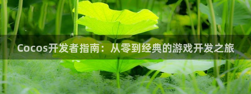 沐鸣2平台主管代理