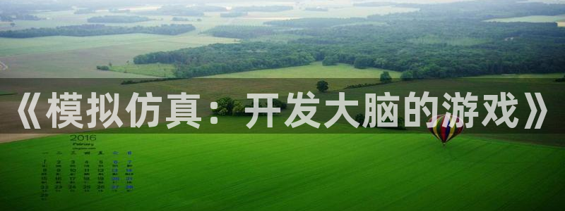 沐鸣2注册说来77542：《模拟仿真：开发大脑的游戏》