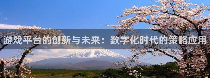 沐鸣2登录测速：游戏平台的创新与未来：数字化时代的策略应用