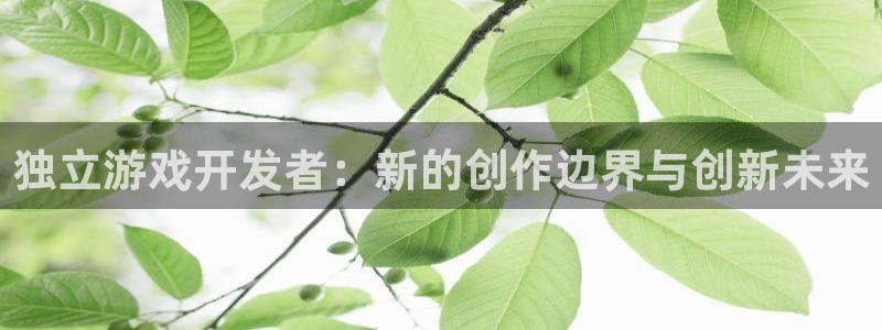 沐鸣2登录测试：独立游戏开发者：新的创作边界与创新未来