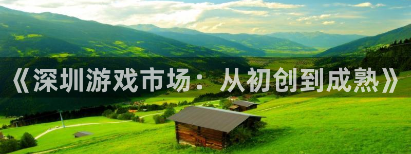 沐鸣娱乐2：《深圳游戏市场：从初创到成熟》