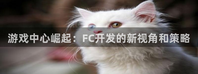沐鸣2官网注册地址：游戏中心崛起：FC开发的新视角和策略