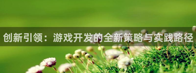 沐鸣娱乐2官方网站注册链接：创新引领：游戏开发的全新策略与实践路径