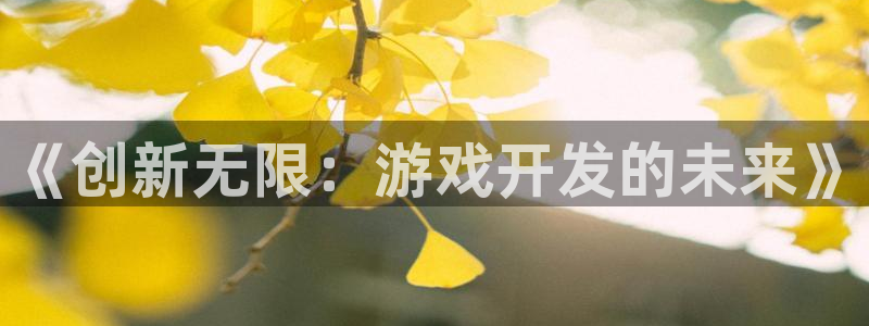沐鸣娱乐2电脑版：《创新无限：游戏开发的未来》