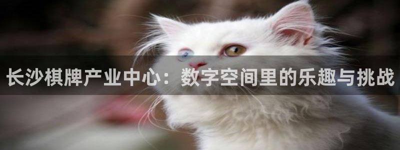 沐鸣娱乐2官方