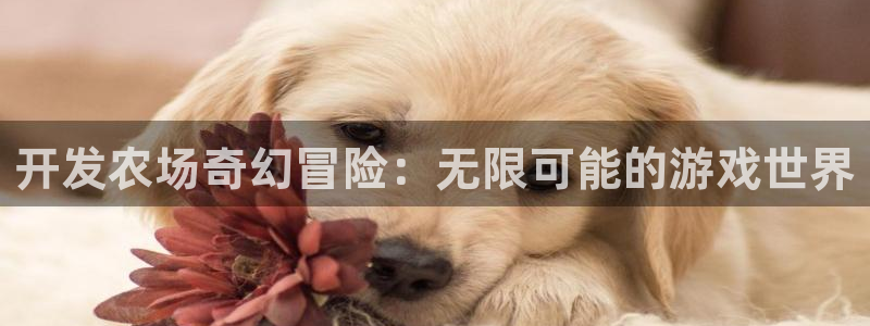 沐鸣2平台主管代理：开发农场奇幻冒险：无限可能的游戏世界