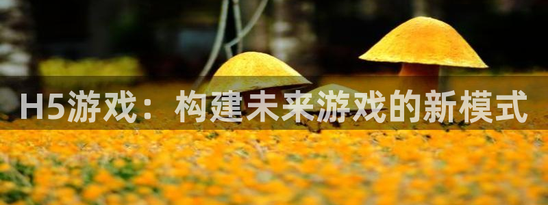 沐鸣娱乐2登录平台官网：H5游戏：构建未来游戏的新模式