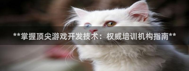 沐鸣娱乐2游戏说明：**掌握顶尖游戏开发技术：权威培训机构指南**