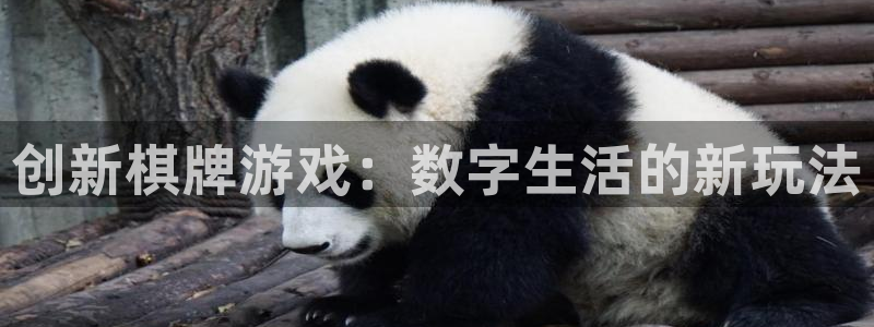 沐鸣2平台主管：创新棋牌游戏：数字生活的新玩法