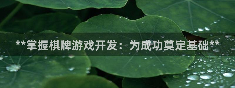 沐鸣娱乐2登录平台是什么软件：**掌握棋牌游戏开发：为成功奠定基础**