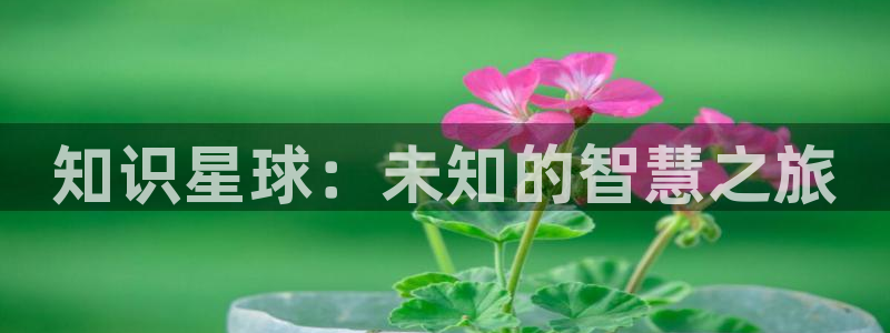 棉花糖小说网手机网