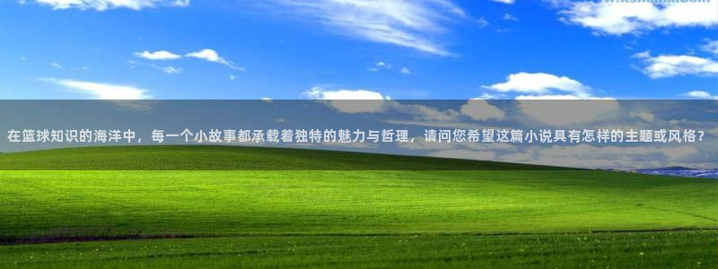 棉花糖小说网下载txt：在篮球知识的海洋中，每一个小故事都承载着独特的魅力与哲理，请问您希望这篇小说具有怎样的主题或风格？