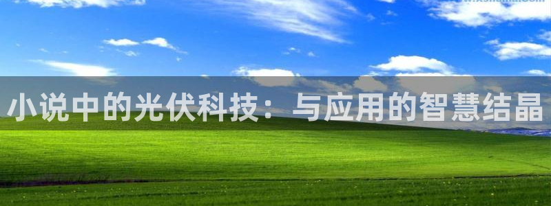 新棉花糖小说免费阅读网