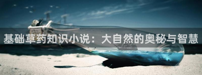 棉花糖网站小说